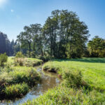 Kleiner Fluss, Wiese und Waldrand