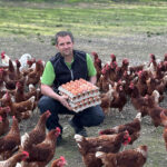 Freilaufende Hühner des Biohof Lecker