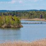 Blick vom Aussichtsturm ins Ainringer Moos