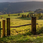 Weidezaun und Kuhweide in den Bergen