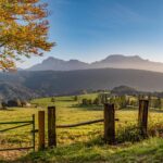 Blick über eine Weide auf die Bergkulisse des Hochstaufen