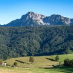 Blick über eine Weide zum Hochstaufen