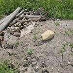 Wilde Ecken: Totholzhaufen und offene Erde im Garten