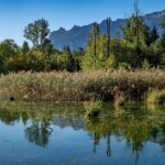 Saalachau bei Bad Reichenhall mit Blick zum Lattengebirge