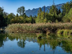 Saalachau bei Bad Reichenhall mit Blick zum Lattengebirge