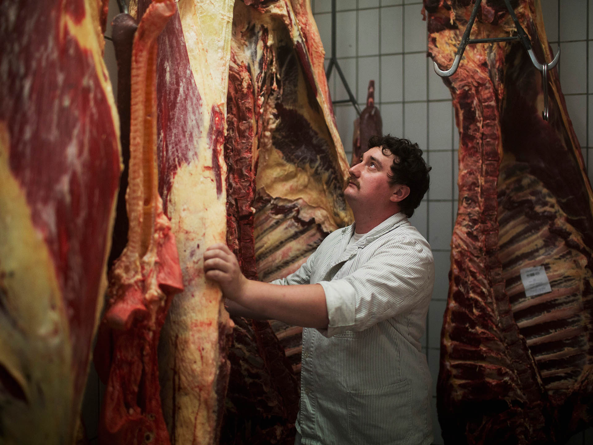Ein Mitarbeiter des Schlachthof Laufen mit abgehangenem Fleisch
