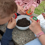 Kinder untersuchen Erde mit Lupenbecher